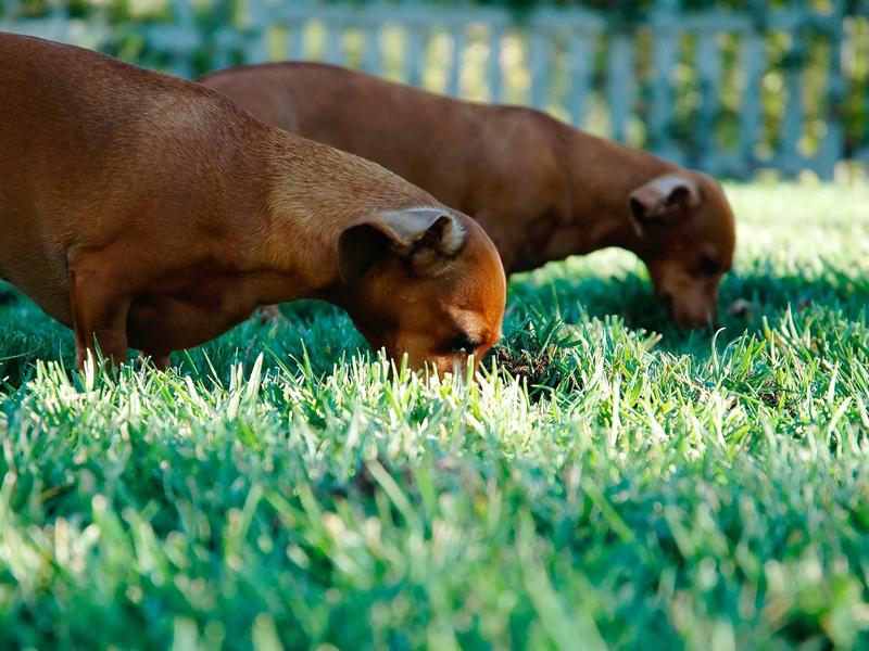 sudoku timer mode screenshot 2