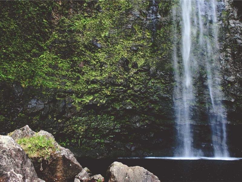 sudoku solution check